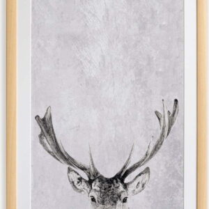 Nástěnný obraz v rámu Surdic Deer