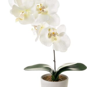 Umělá rostlina (výška 45 cm) Orchid – Casa Selección. Nejlepší vtipy na světě na každý den.