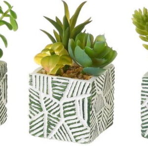 Umělé rostliny v sadě 3 ks (výška 12 cm) Cactus – Casa Selección. Nejlepší vtipy na světě na každý den.
