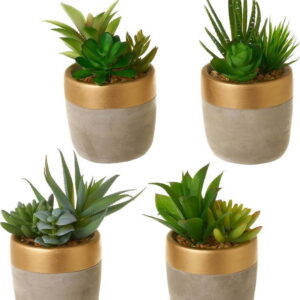 Umělé rostliny v sadě 4 ks (výška 17 cm) Cactus – Casa Selección. Nejlepší vtipy na světě na každý den.