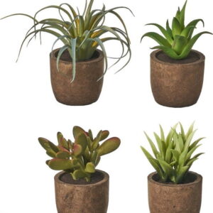 Umělé rostliny v sadě 4 ks (výška 10 cm) Cactus – Casa Selección. Nejlepší vtipy na světě na každý den.